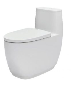 BỒN CẦU 1 KHỐI AC-1052VN