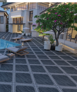 Alternative view of MZP 58832